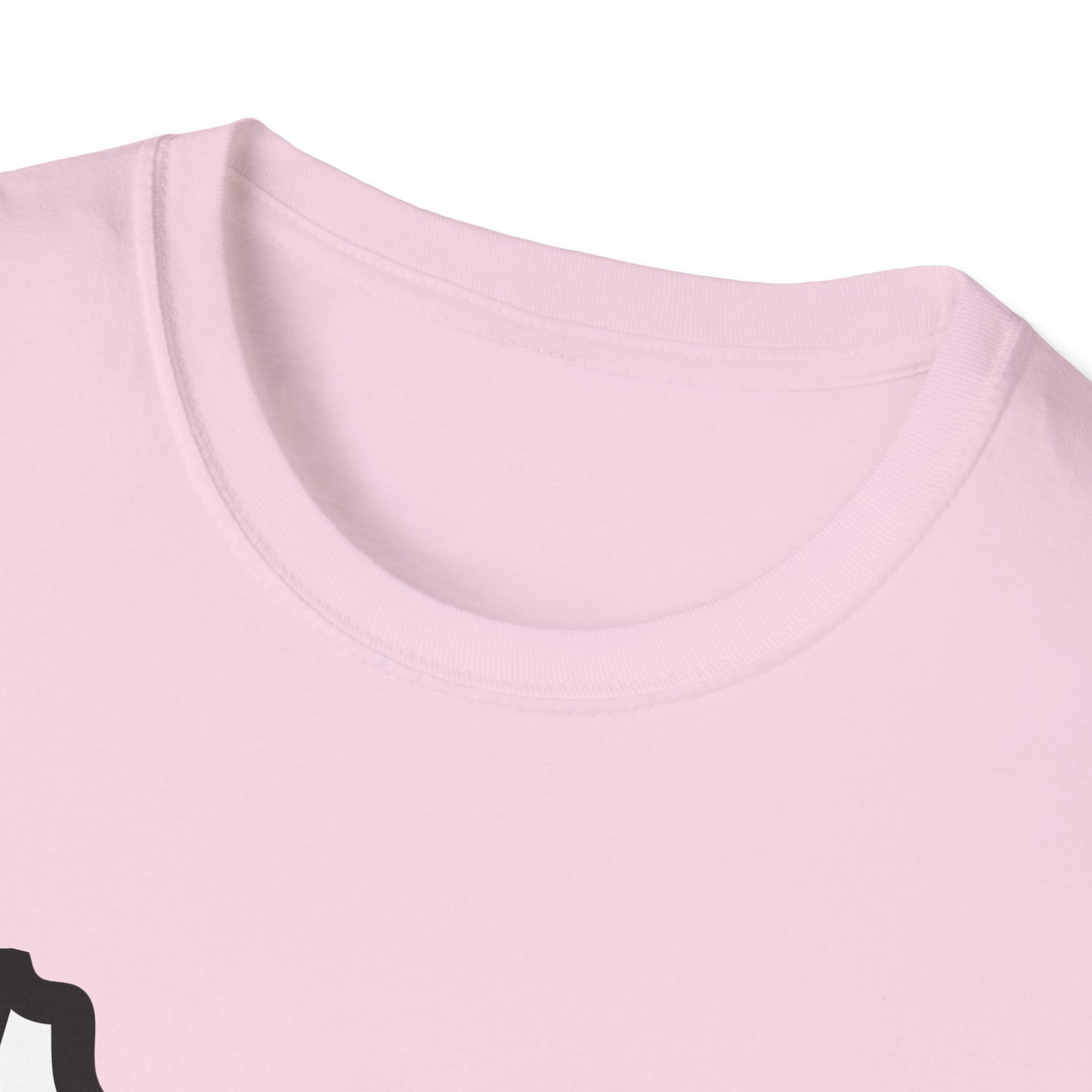 Oregon Pride Tee Shirt (Pride Flag)